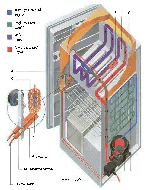 Nguyên lý và hoạt động của tủ lạnh